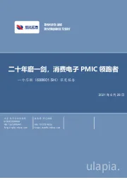 深度报告：二十年磨一剑，消费电子PMIC领跑者