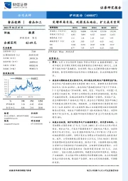 定增布局长远，巩固龙头地位，扩大成长空间