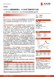 2021年半年度业绩预增公告点评：21年H1业绩延续高增长，大力布局下游新材料产业链