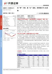 公司首次覆盖报告：创“新”不断、意“兴”盎然，资源整合步入收获期