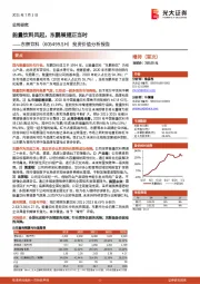 投资价值分析报告:能量饮料风起,东鹏展翅正当时