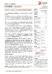 以技术为引，公司作为IDC行业中坚力量，新能源业务亦值得期待