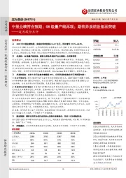 迈为股份点评:中报业绩符合预期;GW级量产线再现;期待异质结设备再突破