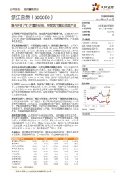 海内外扩产打开增长空间，持续迭代输出优质产品