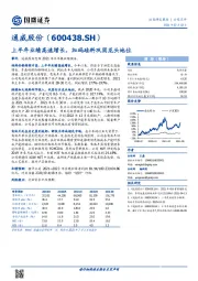 上半年业绩高速增长，加码硅料巩固龙头地位