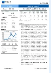 电动化浪潮下，氢氧化锂一线企业受益