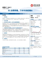 Q2业绩高增，下半年持续增长