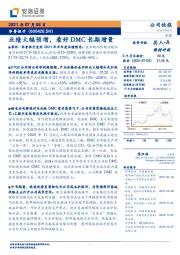 业绩大幅预增，看好DMC长期增量