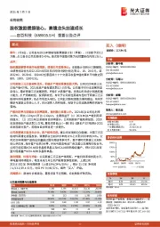 重要公告点评:股权激励提振信心,高镍龙头加速成长