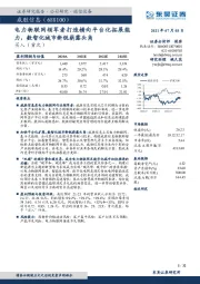 电力物联网领军者打造横向平台化拓展能力，数智化城市新锐崭露头角