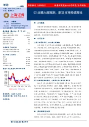 Q2业绩大超预期，新项目将陆续落