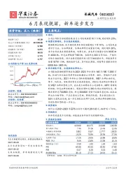 6月表现靓丽，新车逐步发力