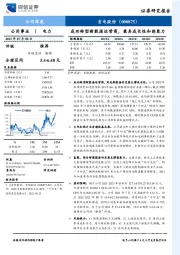 成功转型新能源运营商，兼具成长性和想象力