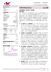 业绩再创新高，综合性化工龙头崛起