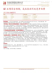 Q2业绩符合预期，成本扰动不改竞争优势