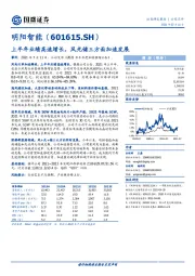 上半年业绩高速增长,风光储三方面加速发展