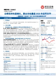 2021年半年度业绩预告点评：业绩保持快速增长，聚合充电量超2020年全年水平