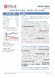 短期业绩压力释放，静待新一轮产品周期