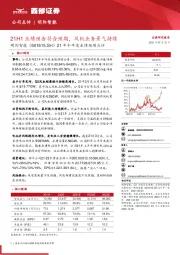 21年半年度业绩预增点评：21H1业绩预告符合预期，风机业务景气持续