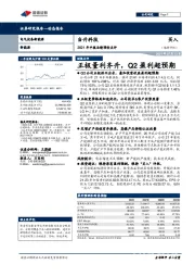 2021年中报业绩预告点评:正极量利齐升,Q2盈利超预期