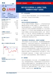 海外项目关停导致Q2业绩低于预期，持续看好未来新产品表现