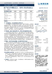 国产液压件稀缺龙头，泵阀+非标再造恒立