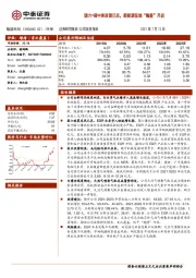 国六+碳中和政策已至，新能源征途“隆盛”开启