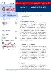 新品发力,上半年业绩大幅增长