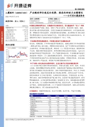 公司首次覆盖报告：产业链延伸打造龙头优势，格局向好助力业绩增长