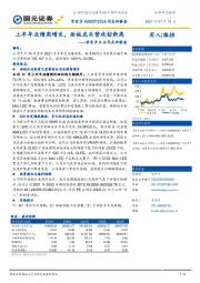 京东方A公司点评报告：上半年业绩高增长，面板龙头营收创新高