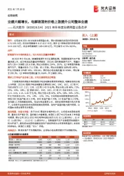 2021年半年度业绩预盈公告点评:业绩大幅增长,电解液溶剂价格上涨提升公司整体业绩