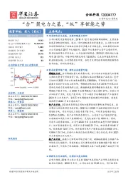 “合”聚电力之基，“纵”享锂能之势