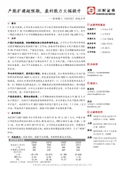 动态点评：产能扩建超预期，盈利能力大幅提升