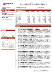 “齿尖”上的龙头，国产替代加速推动公司业绩增长