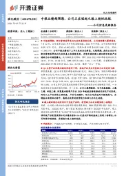 公司信息更新报告:中报业绩超预期,公司正在崛起之路上扬帆远航