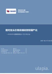 公司深度报告：绝对龙头引领高端硅微粉国产化