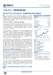 C2投产打开公司成长空间，新能源材料业务布局提速