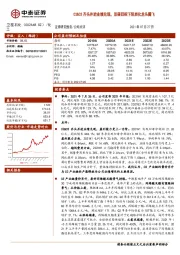C2&C3齐头并进业绩兑现，双碳目标下轻质化龙头腾飞
