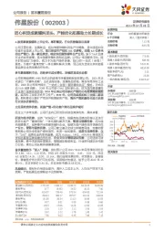 匠心积淀成就辅料龙头，产能优化拓展助力长期成长