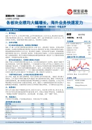 中报点评:各板块业绩均大幅增长,海外业务快速发力