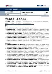 重大事件快评:布局钠离子,发力新未来