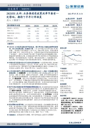 2021H1点评：业务推进受政策改革节奏有一定影响，期待下半年订单恢复