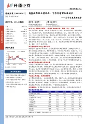 公司信息更新报告：高基数导致业绩承压，下半年有望加速成长