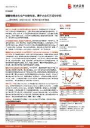 投资价值分析报告:磷酸铁锂龙头全产业链布局,携手大众打开成长空间