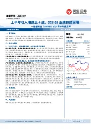 2021年半年报点评：上半年收入增速近4成，2021Q2业绩持续回暖