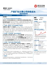 新凤鸣深度报告:产能扩张支撑公司持续成长
