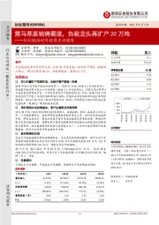 杉杉股份对外投资点评报告:策马草原驰骋蜀道,负极龙头再扩产20万吨