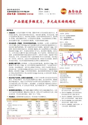 产品渠道多维发力,多元成长曲线确定