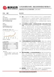 公司简评报告：光伏逆变器稳步发展，储能逆变器有望成为新增长点