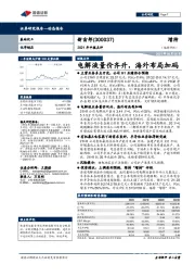 2021年中报点评：电解液量价齐升，海外布局加码